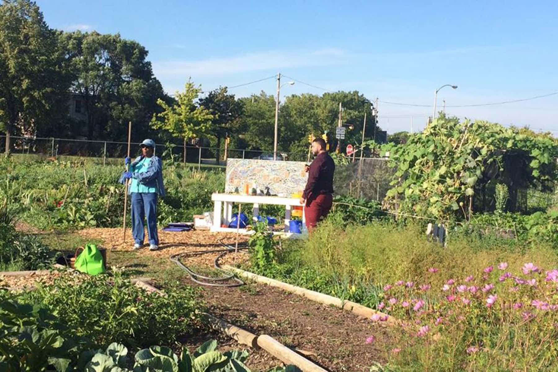 Alice's Garden: A Place of Healing in Milwaukee