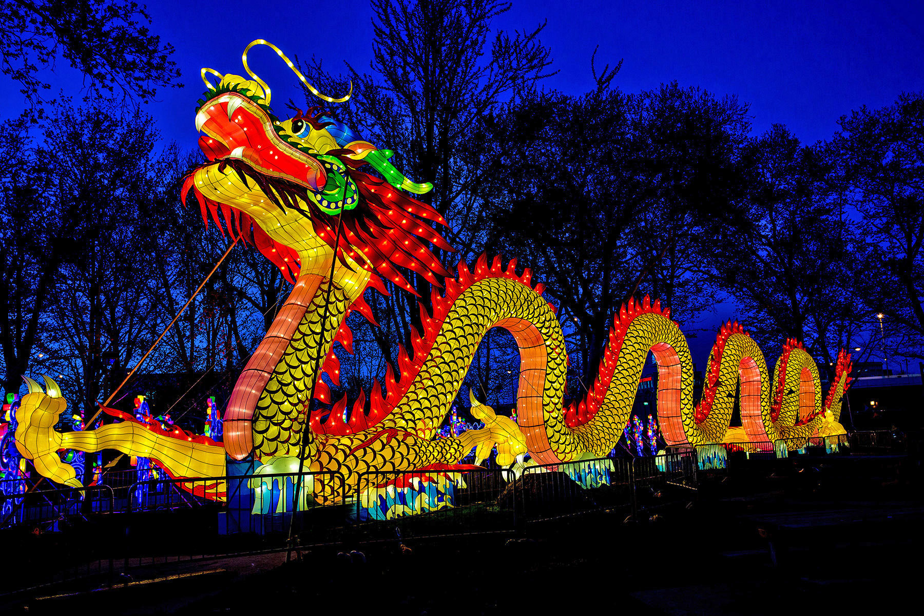 chinese lantern lights festival