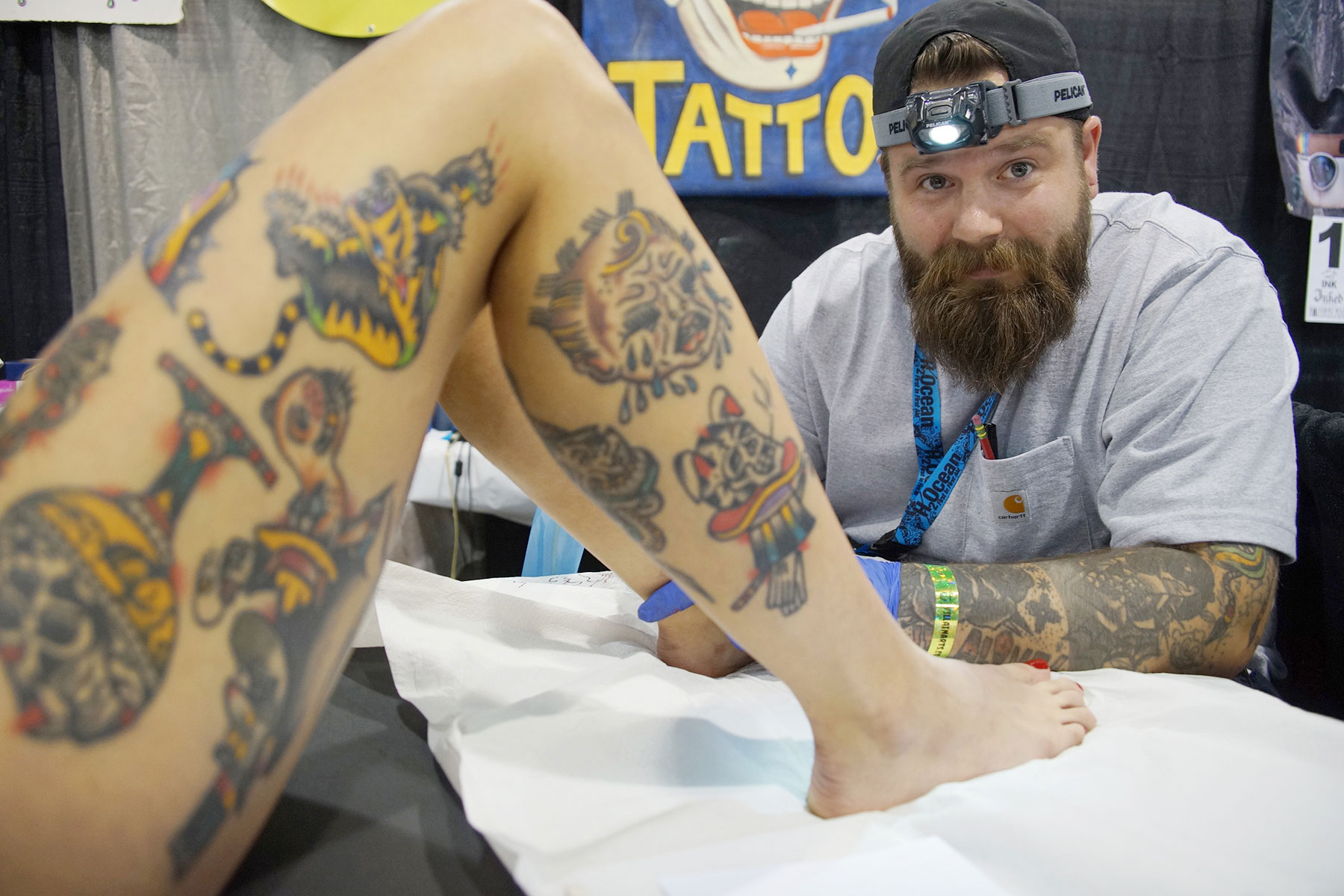 hillsborough artist tattoo renewal licence