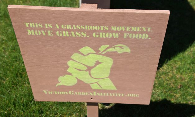 Victory Garden Initiative sees fruits of its community mission with Farmhouse expansion