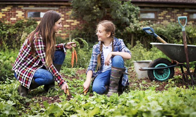 City to offer garden soil screening service for lead to Milwaukee homeowners