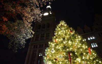 Milwaukee seeks nominations from residents for City Hall’s 106th annual Christmas tree