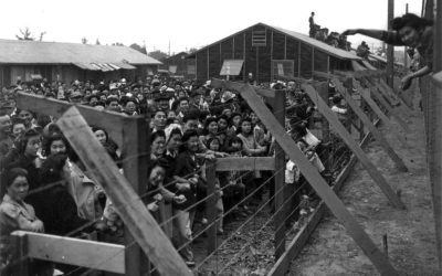 Justice Bradley’s ignorance of history: “Safer at Home” order is not like the internment of Japanese Americans