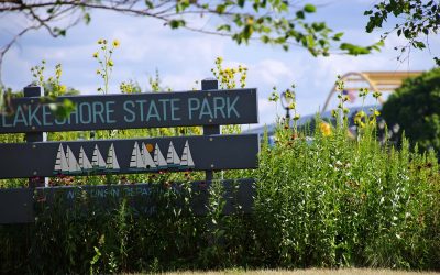 Wisconsin DNR closes state parks indefinitely due to overcrowding and vandalism during pandemic