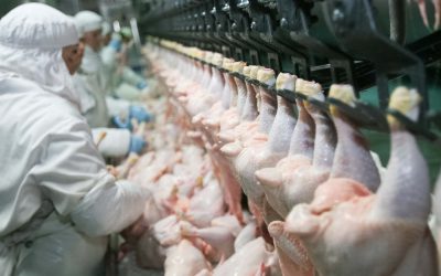 Forward Latino joins civil rights complaint against harmful workplace polices by meatpacking industry