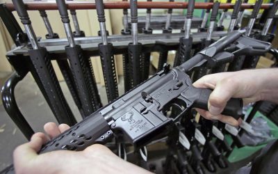 Gun Show Loophole: County officials oppose proposal that puts Milwaukee County in the firearms business