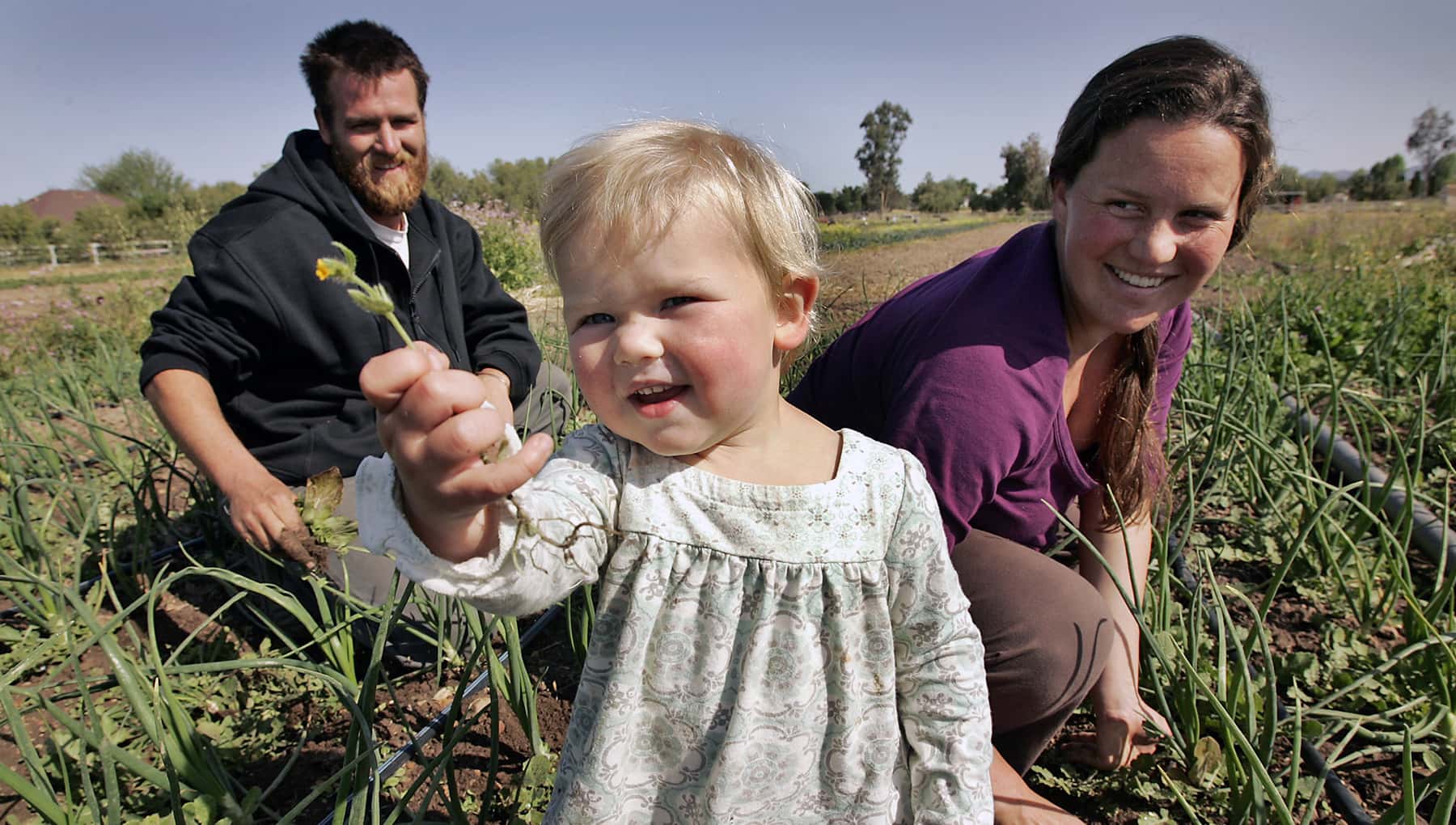 Young farmers are freshening the face of Wisconsin agriculture