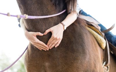 Philanthropic grant allows MKE Urban Stables to offer equine therapy programs to local community