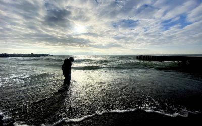 Atmospheric carbon might make Great Lakes more acidic and inhospitable for some fish and plants