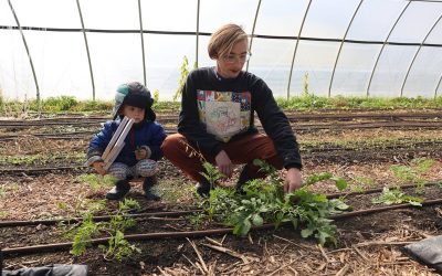 The Queer family farm: LGBTQ farmers find fertile ground in Wisconsin despite social obstacles