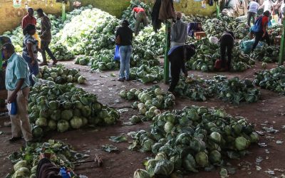 Developing countries can reduce hunger and slow climate change by using solar-powered refrigerators