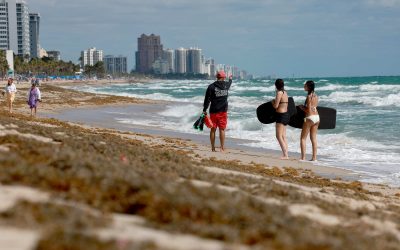 A biological hot spot: How the Atlantic Sargassum Belt is inundating coastlines with brown seaweed