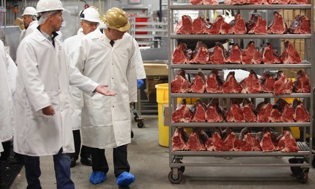 Underage Exploitation: Federal government urges U.S. meat companies to comply with child labor laws