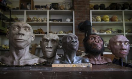 True humans: Science paints a new picture of mankind’s past when we mated with other ancient hominins