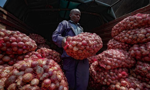 Starving countries: Climate change and Russia’s brutal war continue to limit food exports