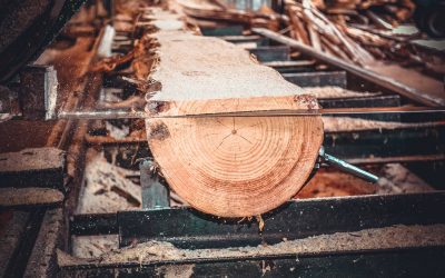 Amputation and death: Another Wisconsin lumber company is fined for violations of workplace safety