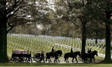 Return of horse-drawn caissons at Arlington National Cemetery delayed to improve animal care