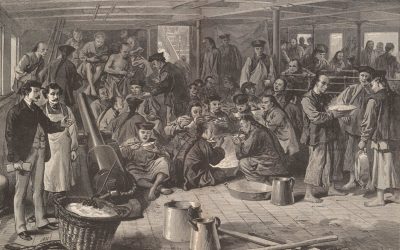 Discriminatory laws: Dozens of states implement restrictions inspired by the 1882 Chinese Exclusion Act