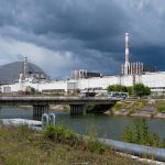 Cesium’s half-life: Foraged mushrooms could help research radioactive fallout from Chernobyl