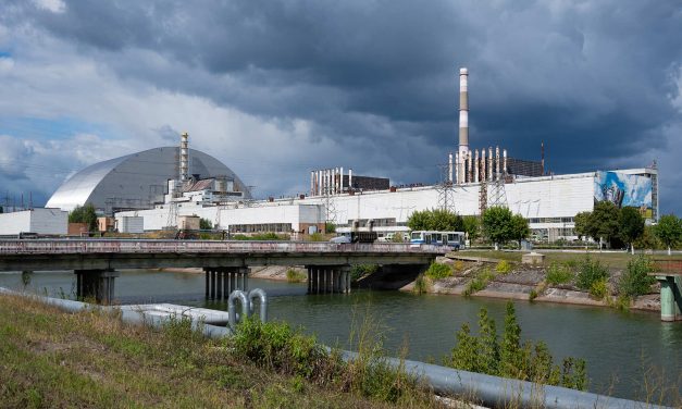 Cesium’s half-life: Foraged mushrooms could help research radioactive fallout from Chernobyl