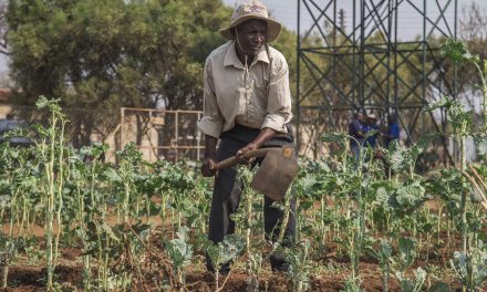 Room for improvement: Food aid interventions can do more to curb climate change-induced hardships