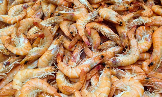 Do know where your shrimp comes from?