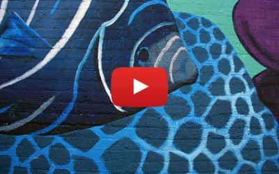 Video: Time lapse of Penfield Mural