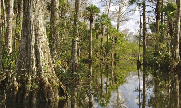 Hundreds of Native American heritage sites under threat from rising water levels