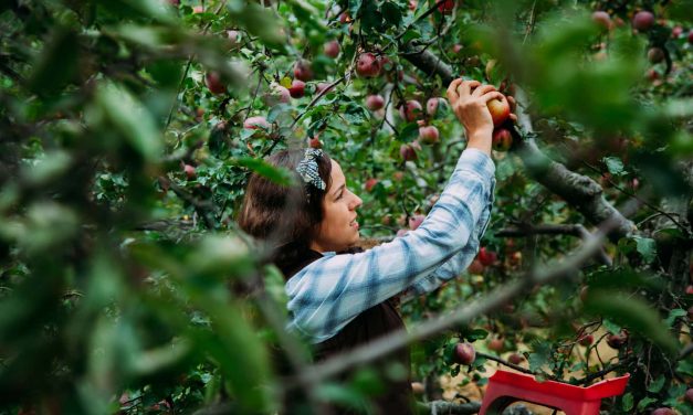 Essential and Vulnerable: Advocates share concern for the safety of migrant farm laborers amid COVID-19