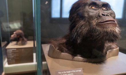 Genetic legacy: How the DNA from extinct Neanderthals lives on within humanity today