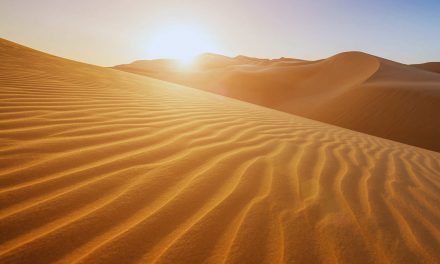 Indigenous wisdom: How the book “Dune” became a beacon for the fledgling environmental movement