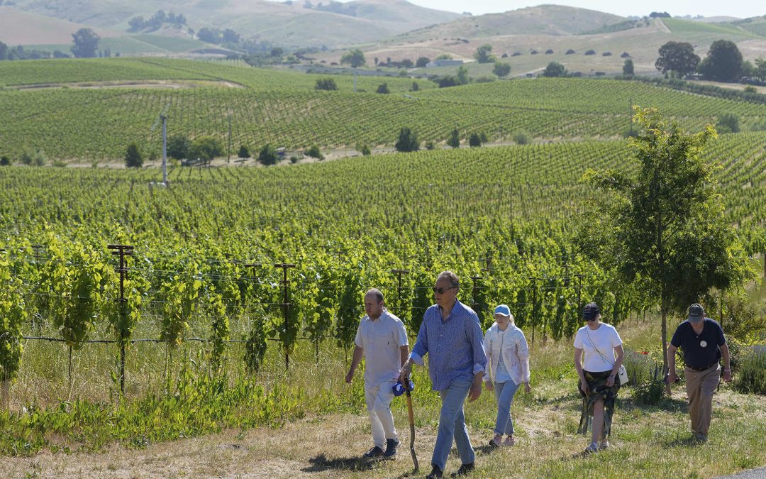 Cultivating grapes: Napa Valley teaches Ukrainian winemakers how to heal their war-ravaged vineyards