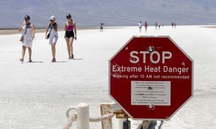 Life and Death and Heat: What it feels like when global temperatures soar to record high levels